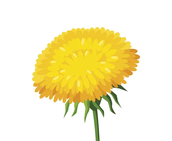 Mooie bloemen ontwerp vector illustratie — Stockvector