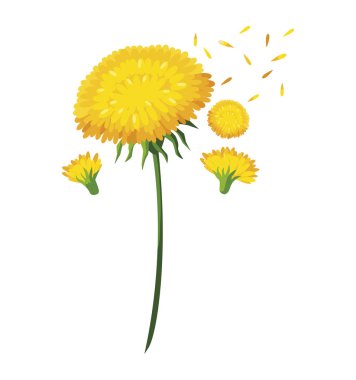 Güzel çiçekler tasarım vektör illüstrasyon