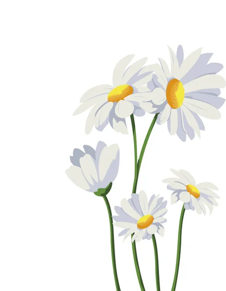 Hermosas flores diseño vector ilustración — Vector de stock