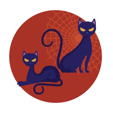 cadılar bayramı kedi kedi hayvan