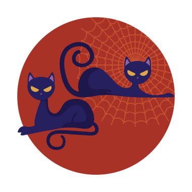 cadılar bayramı kedi kedi hayvan