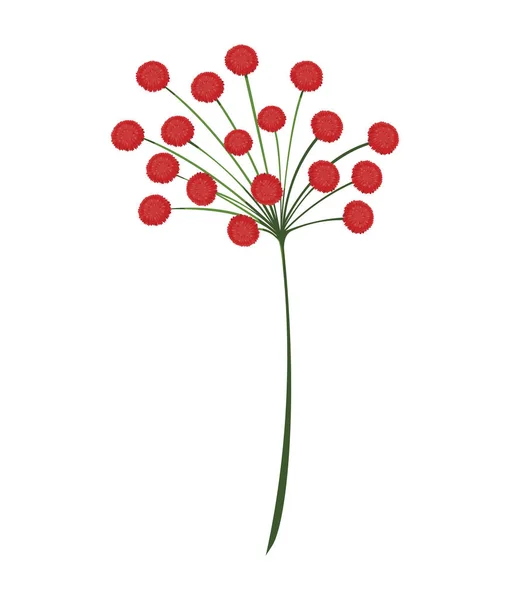 Gyönyörű virágok design vektoros illusztráció — Stock Vector