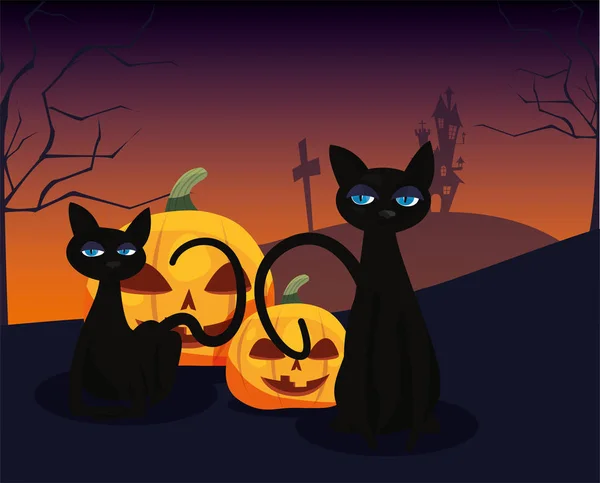 Calabaza con negro gato en escena de halloween — Vector de stock