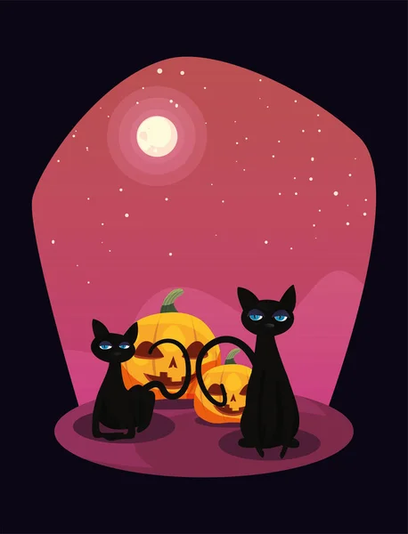 Dynia z czarnym kota w scenie Halloween — Wektor stockowy