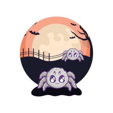 cadılar bayramı sahnesinde ürpertici örümcekler hayvanlar