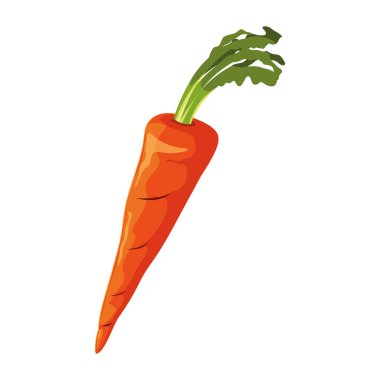 İzole edilmiş havuç ikonu vektör tasarımı