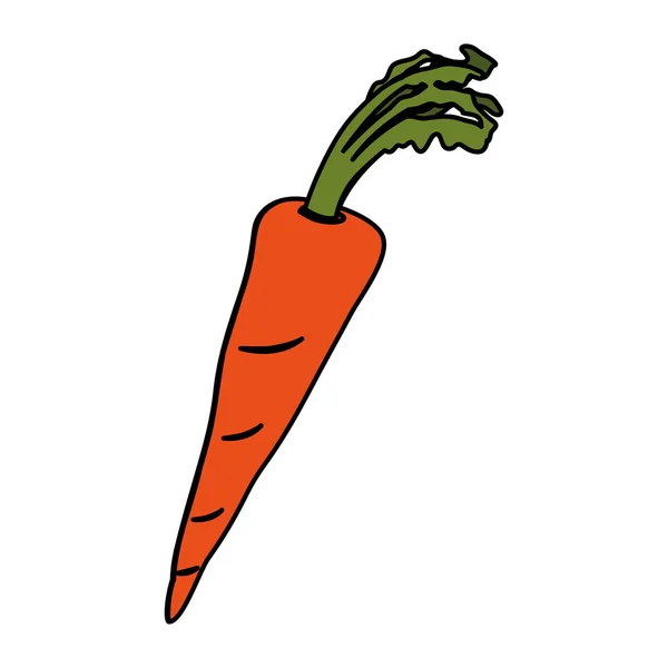 Design de vetor ícone de cenoura isolado — Vetor de Stock