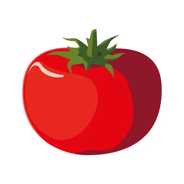 分離されたトマトのアイコンベクトルデザイン — ストックベクタ