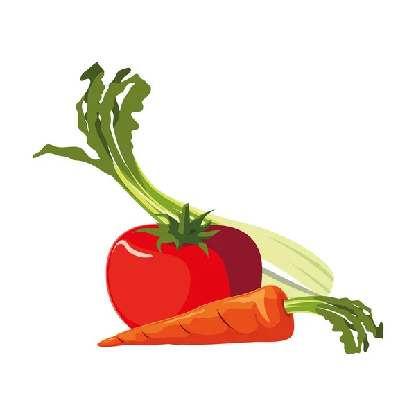 Изолированные овощи — стоковый вектор