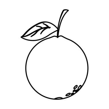 İzole portakal meyve vektör tasarımı