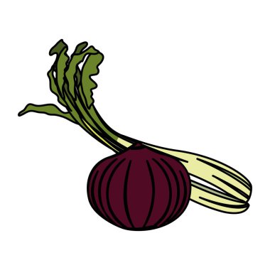 İzole edilmiş soğan ve kereviz ikonu vektör tasarımı