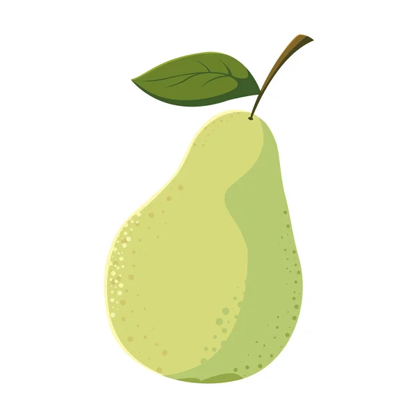 Diseño aislado del vector de fruta de pera — Vector de stock