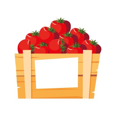 İzole edilmiş domates ikonu vektör tasarımı