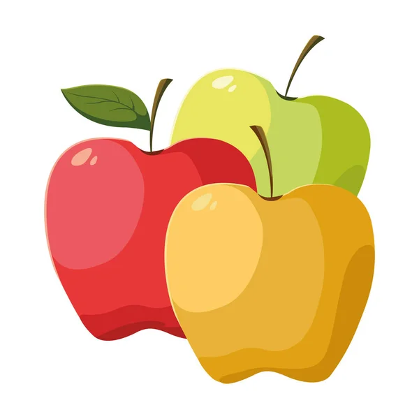 Isolerade äpplen frukt vektor design — Stock vektor