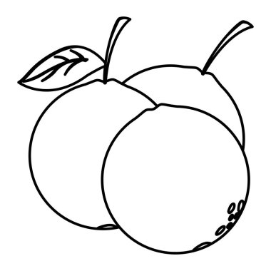 İzole portakallar meyve vektör tasarımı