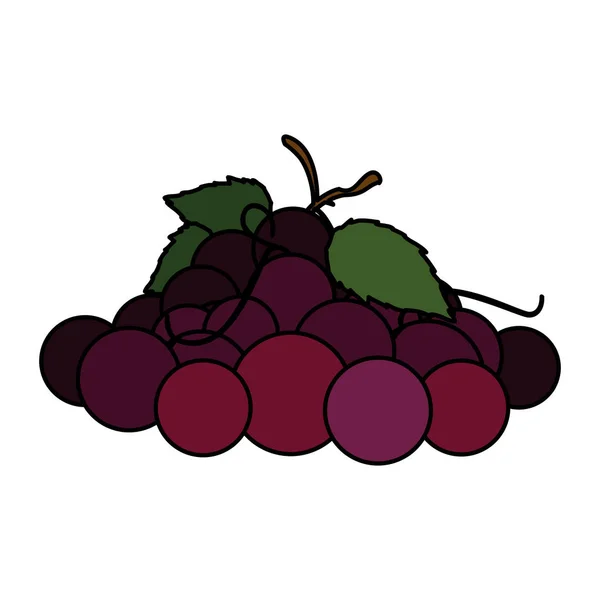 Conception de vecteur de fruits de raisin isolé — Image vectorielle