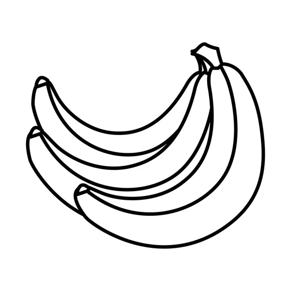 Isolierte Bananen Fruchtvektordesign — Stockvektor