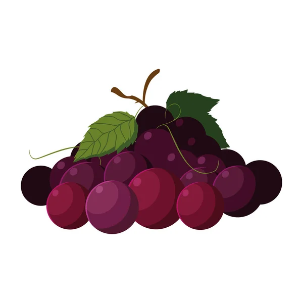 Isolierte Trauben Fruchtvektordesign — Stockvektor