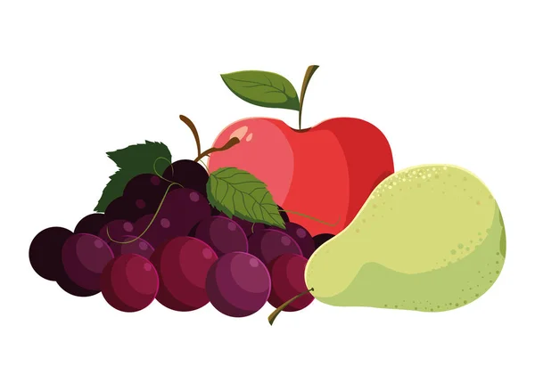 Fruits tropicaux isolés set design vectoriel — Image vectorielle