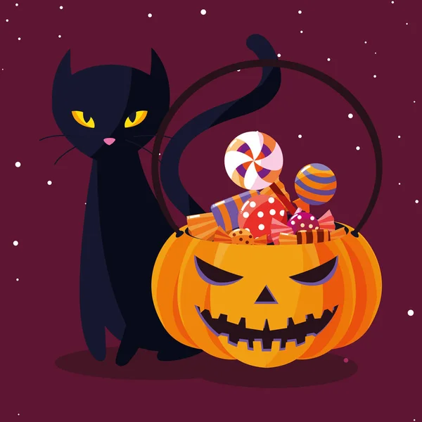 Halloween katt och pumpa tecknad vektor design — Stock vektor