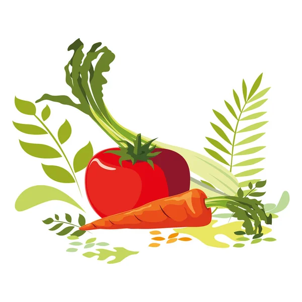 Diseño vectorial conjunto de verduras aisladas — Archivo Imágenes Vectoriales