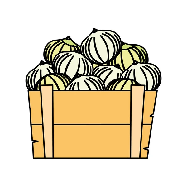 Isolated onions icon vector design — Stock Vector