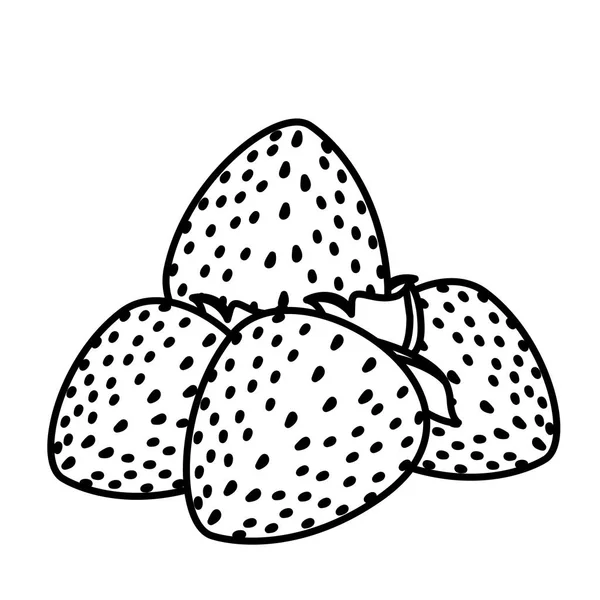 Diseño de vectores de fruta de fresas aisladas — Vector de stock