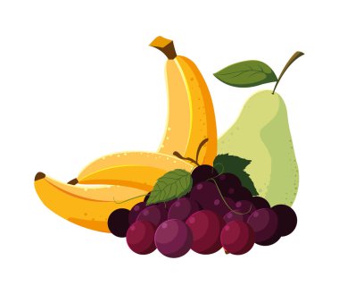 İzole edilmiş tropikal meyve vektör tasarımı