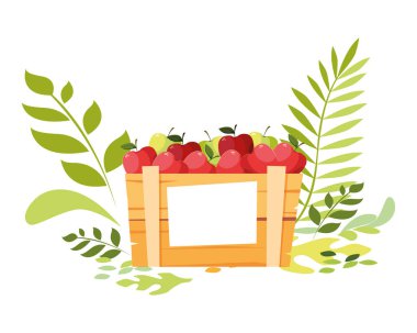 İzole edilmiş elma meyve kutusu vektör tasarımı