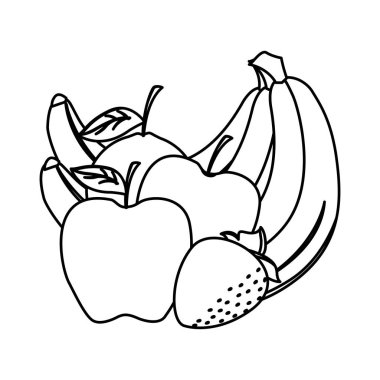 İzole edilmiş tropikal meyve vektör tasarımı