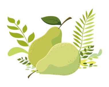 İzole armut meyve vektör tasarımı