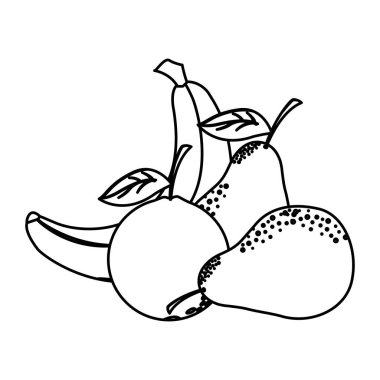 İzole edilmiş tropikal meyve vektör tasarımı