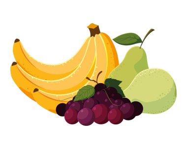 İzole edilmiş tropikal meyve vektör tasarımı
