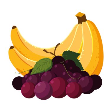 İzole edilmiş tropikal meyve vektör tasarımı
