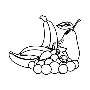 İzole edilmiş tropikal meyve vektör tasarımı