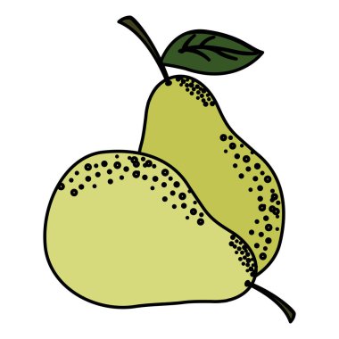 İzole armut meyve vektör tasarımı