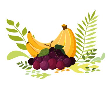 İzole edilmiş tropikal meyve vektör tasarımı