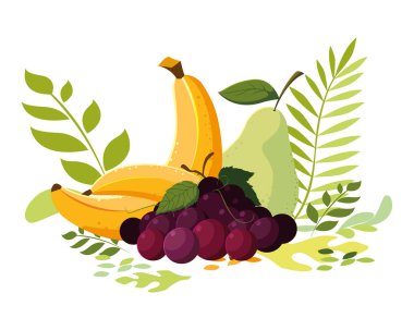 İzole edilmiş tropikal meyve vektör tasarımı