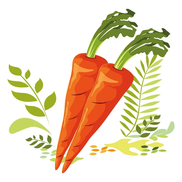 Isolated carrots icon vector design — Stock Vector