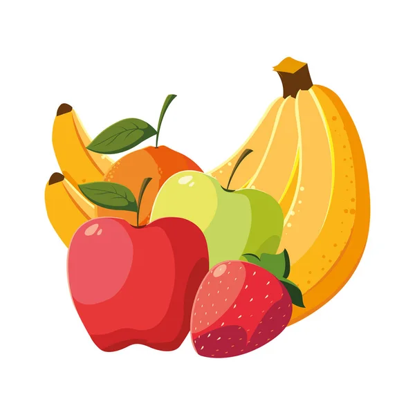 Diseño vectorial de frutas tropicales aisladas — Vector de stock