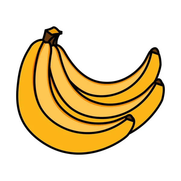 Desenho isolado de vetor de frutas de bananas — Vetor de Stock