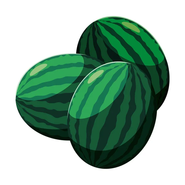 Design isolado de vetor de frutas de melancias — Vetor de Stock