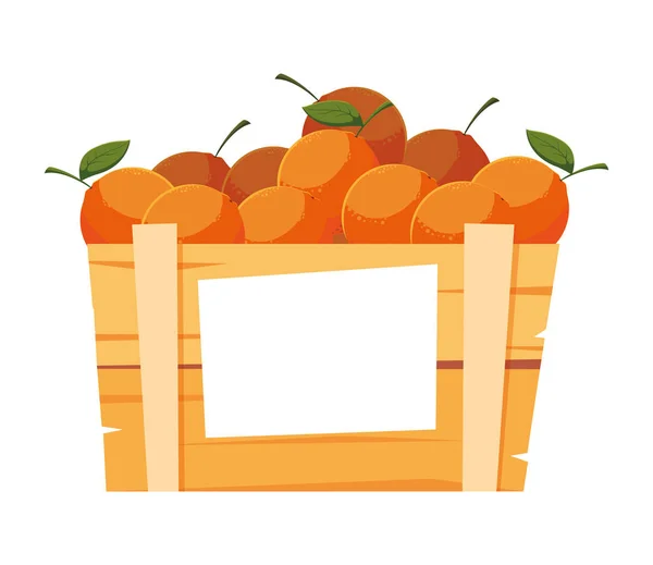 Caja de naranjas aisladas fruta vector diseño — Vector de stock