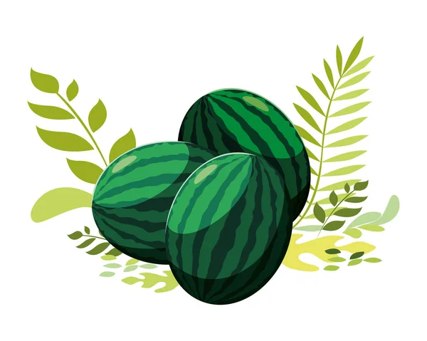 Diseño de vectores de frutas de sandías aisladas — Vector de stock