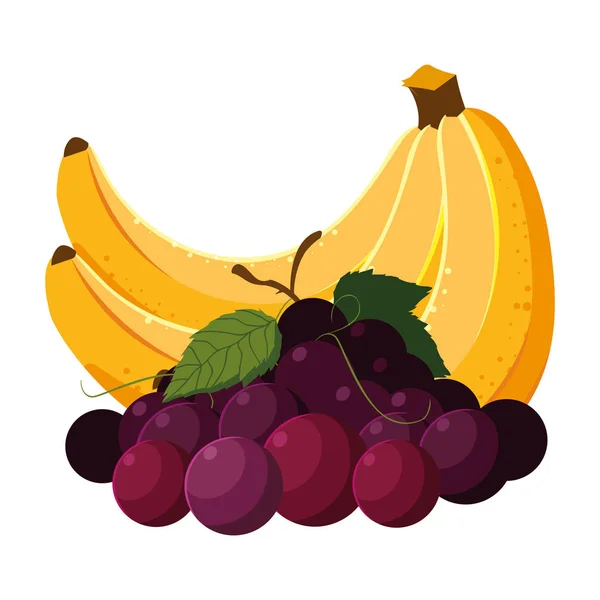 Fruits tropicaux isolés set design vectoriel — Image vectorielle