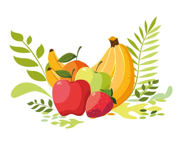 Diseño vectorial de frutas tropicales aisladas — Archivo Imágenes Vectoriales