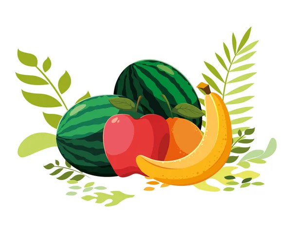 Diseño vectorial de frutas tropicales aisladas — Vector de stock