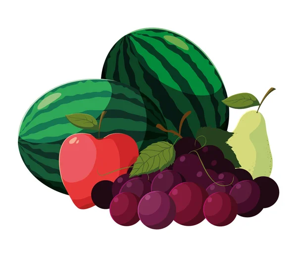 Diseño vectorial de frutas tropicales aisladas — Vector de stock