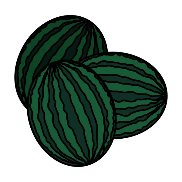 Diseño de vectores de frutas de sandías aisladas — Vector de stock