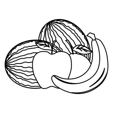 İzole edilmiş tropikal meyve vektör tasarımı